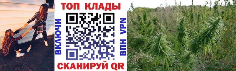 Купить Cocaine  Галлюциногенные грибы  Мефедрон  Alpha-PVP  Дмитриев