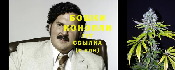 mdma Каменка