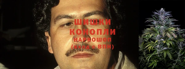 mdma Каменка