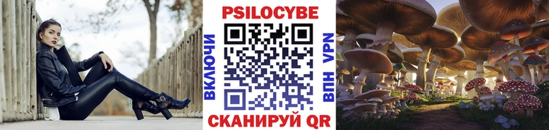 Купить  Дмитриев  Псилоцибиновые грибы GOLDEN TEACHER 